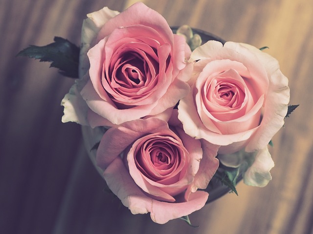 gift