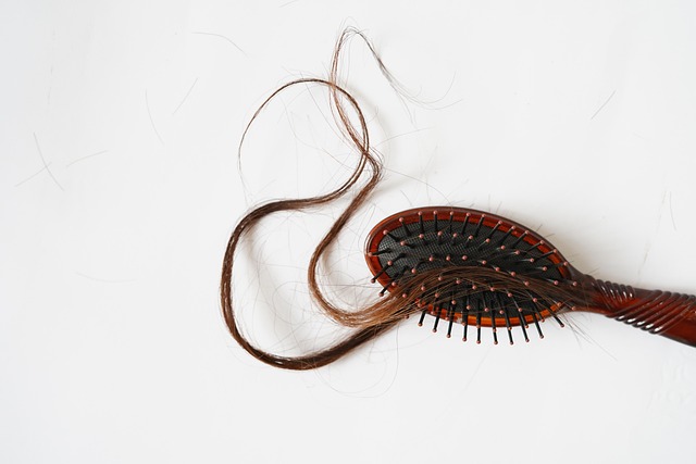 hairbrush