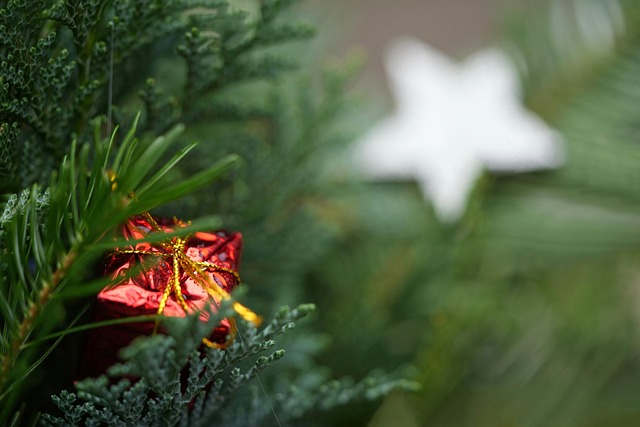 gift