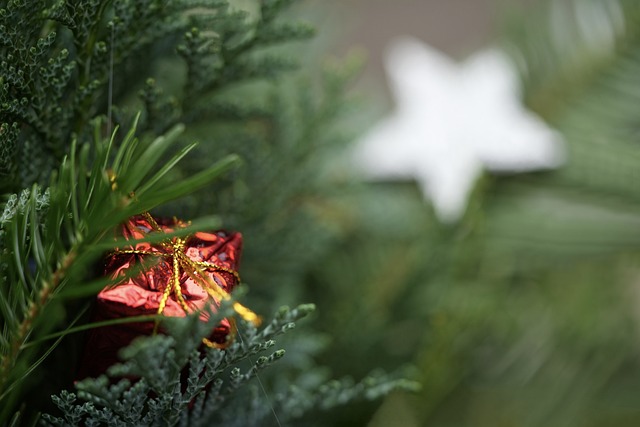 gift