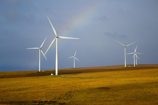 sustainability